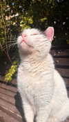 annn_kkkkk Altpins Profile Picture