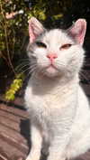 annn_kkkkk Altpins Profile Picture