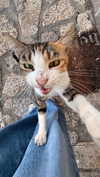 annn_kkkkk Altpins Profile Picture