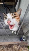 annn_kkkkk Altpins Profile Picture