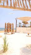 anya_shtril Altpins Profile Picture