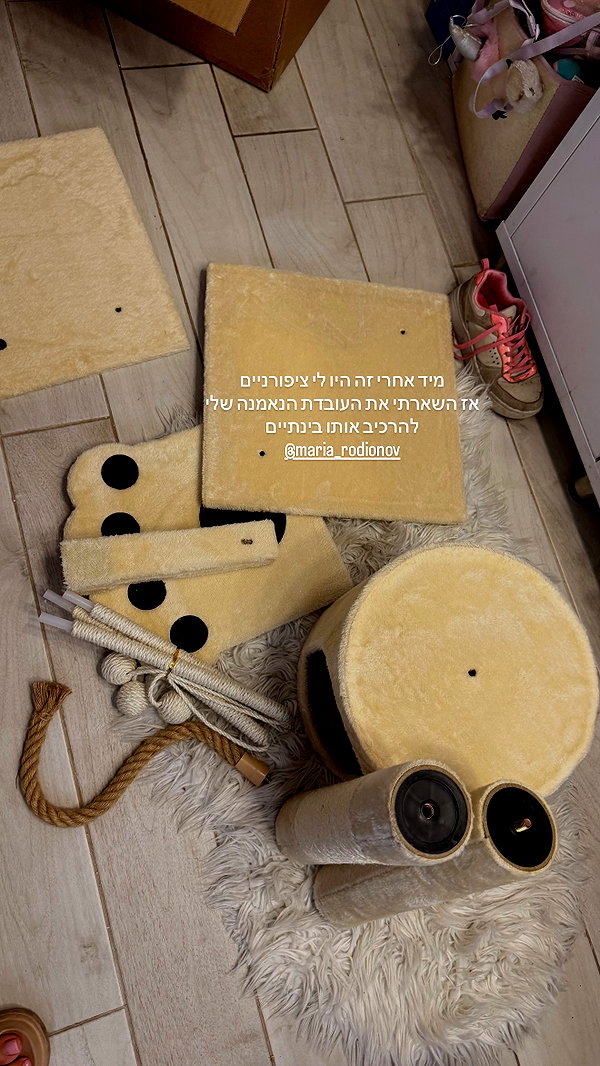 anyarodionov instagram image archive image