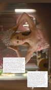 arianagrande Altpins Profile Picture