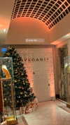 ariannachiaravalle_ Altpins Profile Picture