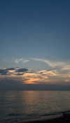 ariannachiaravalle_ Altpins Profile Picture