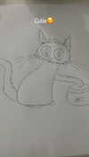 ariel.peri Altpins Profile Picture