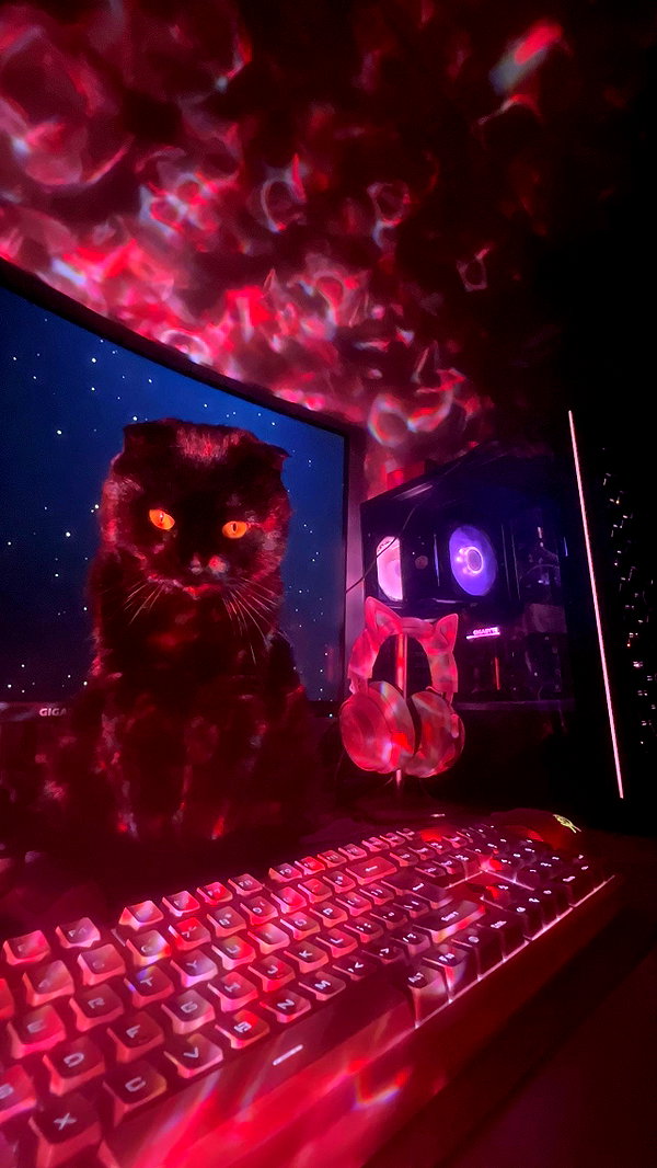 arielle__katz arielle__katz archive image