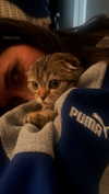 arlettemonze Altpins Profile Picture