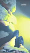 armanitraylor Altpins Profile Picture