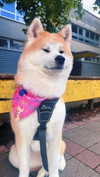 aryssa614 Altpins Profile Picture