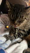 ashley.scarr Altpins Profile Picture