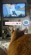 ashley.scarr Altpins Profile Picture