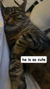 ashley.scarr Altpins Profile Picture