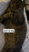 ashley.scarr Altpins Profile Picture