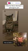 ashley.scarr Altpins Profile Picture