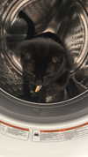 ashley.scarr Altpins Profile Picture