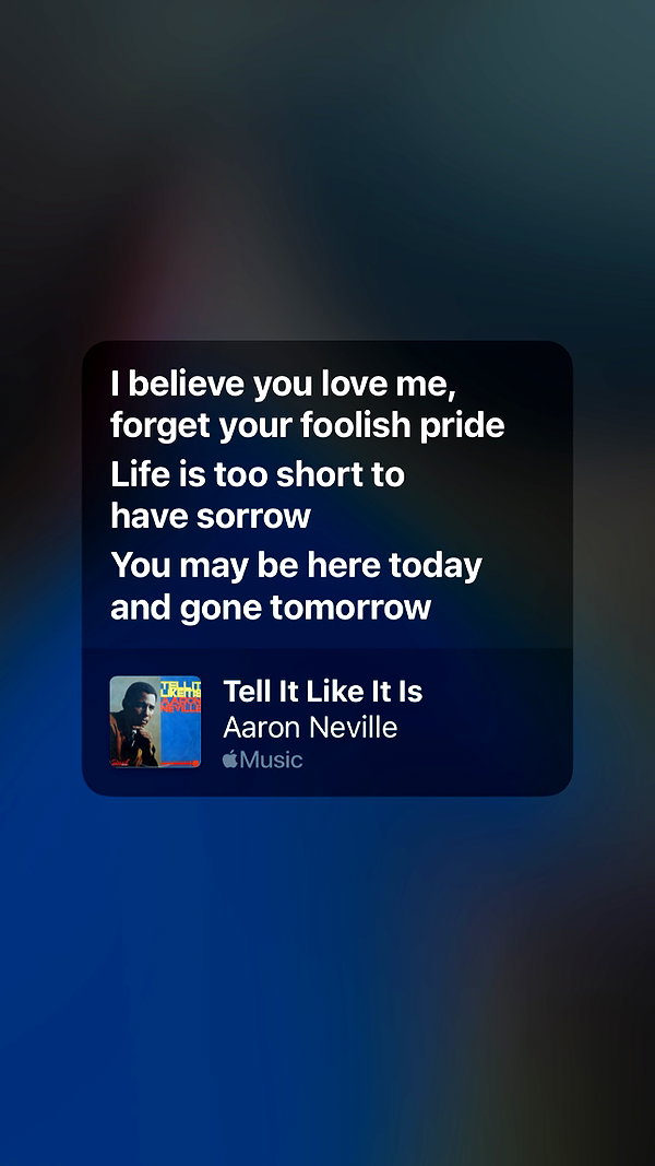 assoolin instagram image archive image