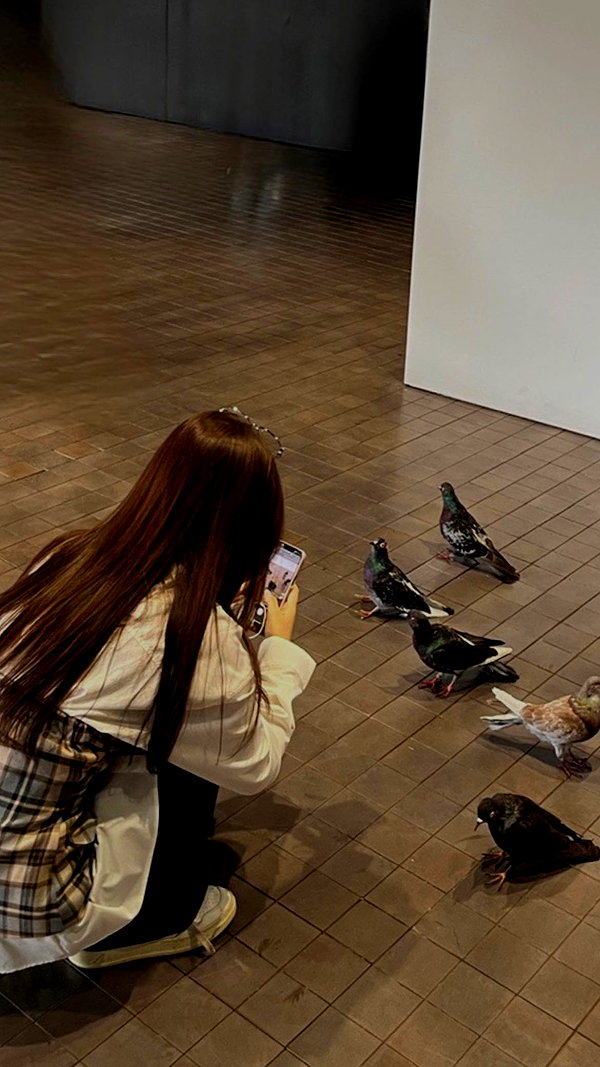 audreywbae instagram image archive image