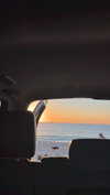 avagaspar_ Altpins Profile Picture