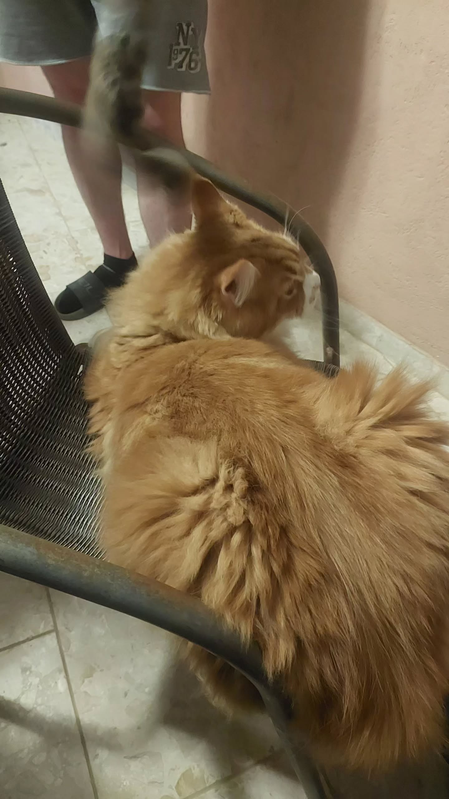 avital_1010.2003 instagram image archive image