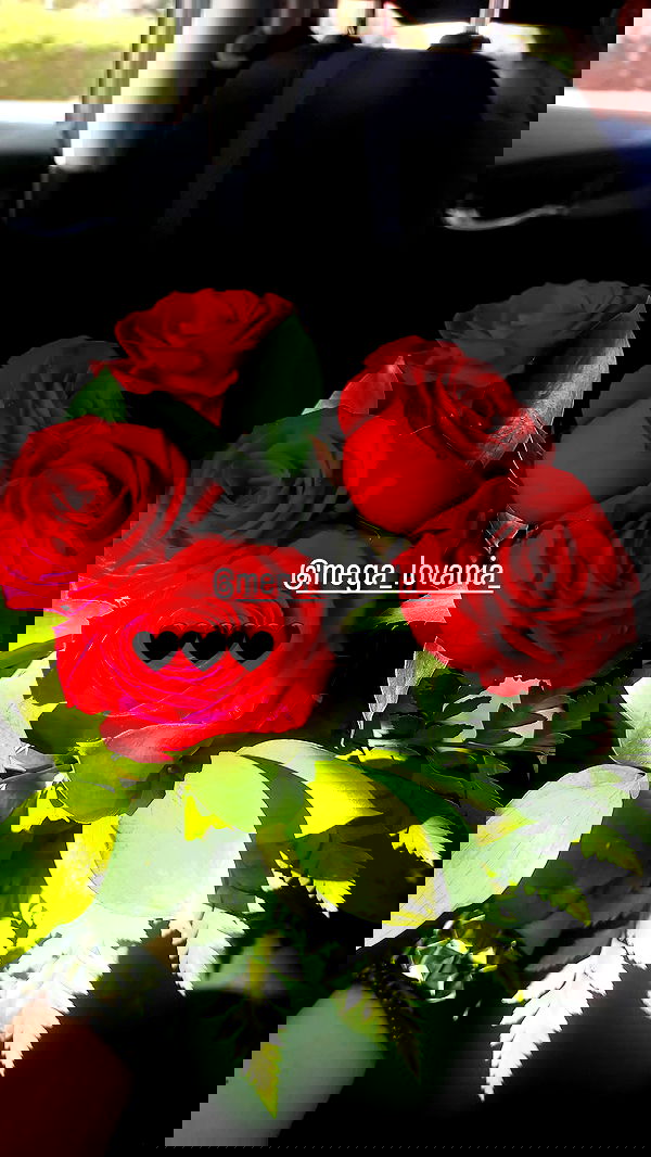 avital_1010.2003 image ~ Altpins