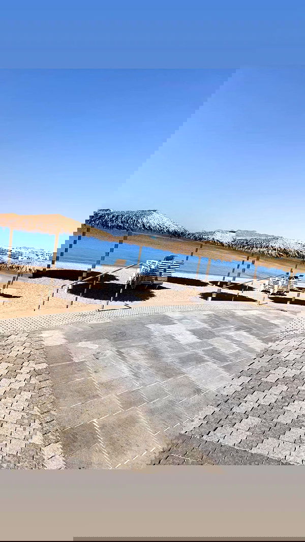 avital_1010.2003 image ~ Altpins