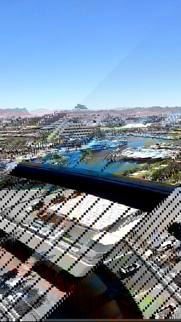 avital_1010.2003 image ~ Altpins