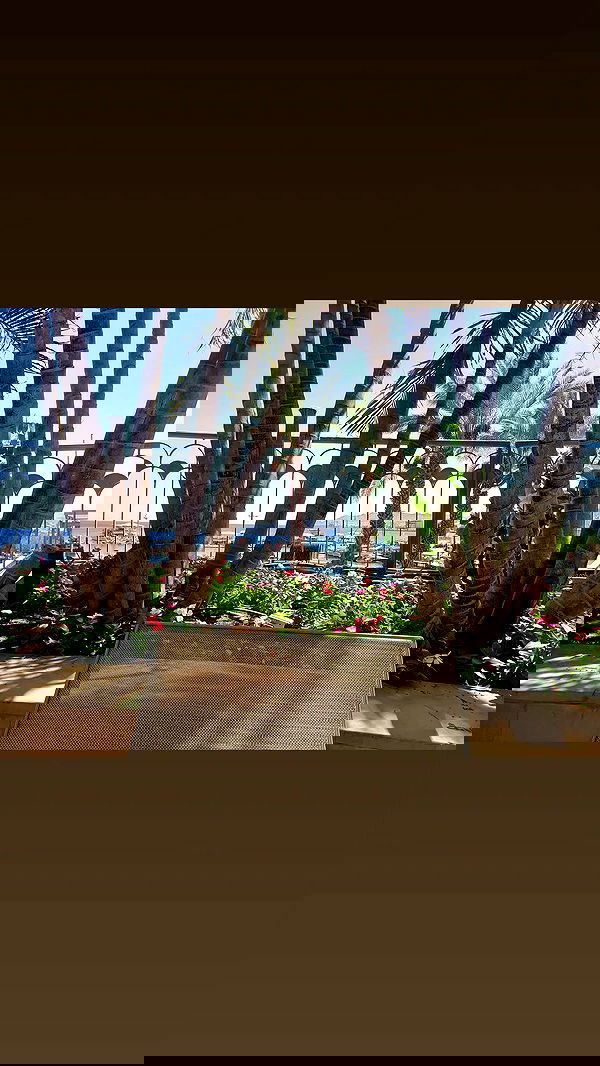 avital_1010.2003 image ~ Altpins