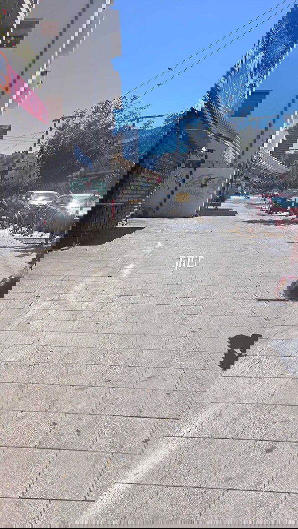 avital_1010.2003 image ~ Altpins