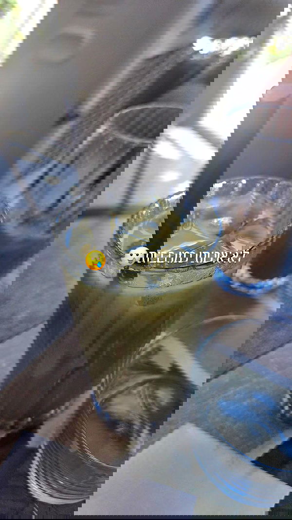 avital_1010.2003 image ~ Altpins