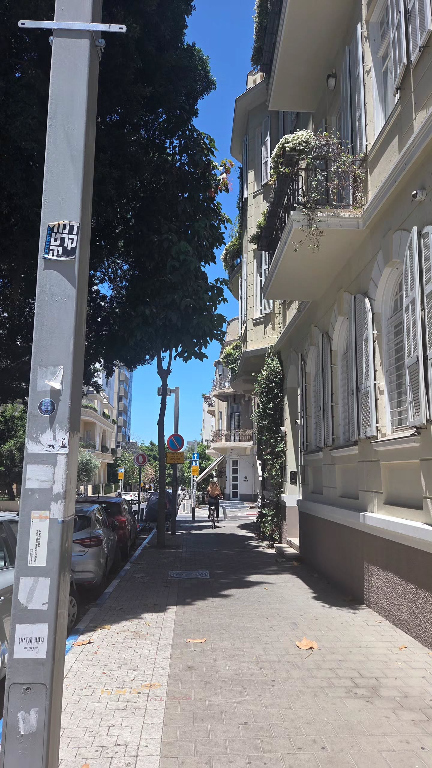 avital_1010.2003 instagram image archive image