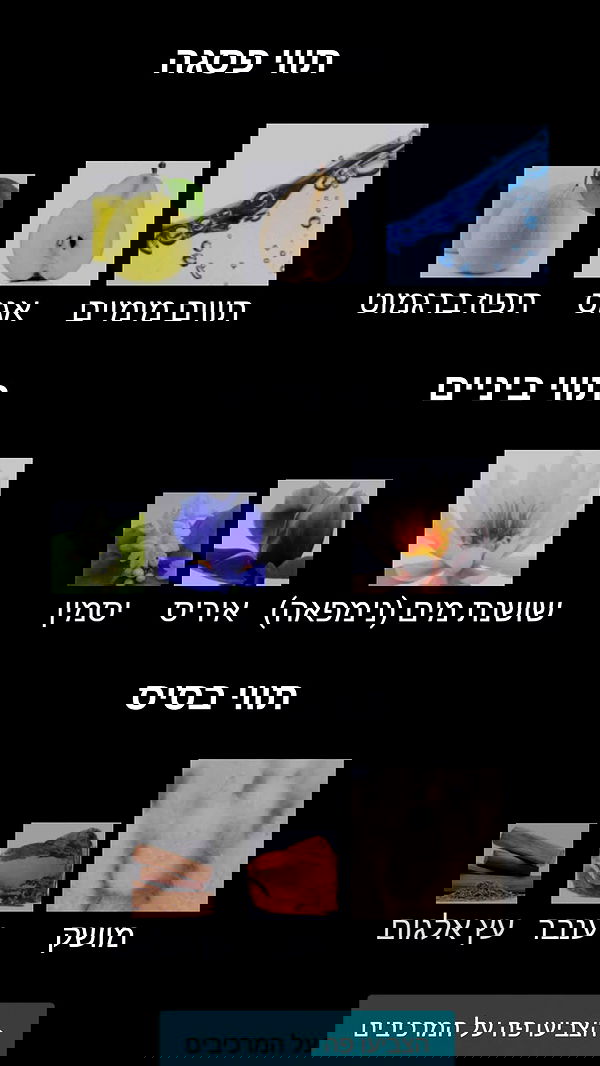 avital_1010.2003 image ~ Altpins