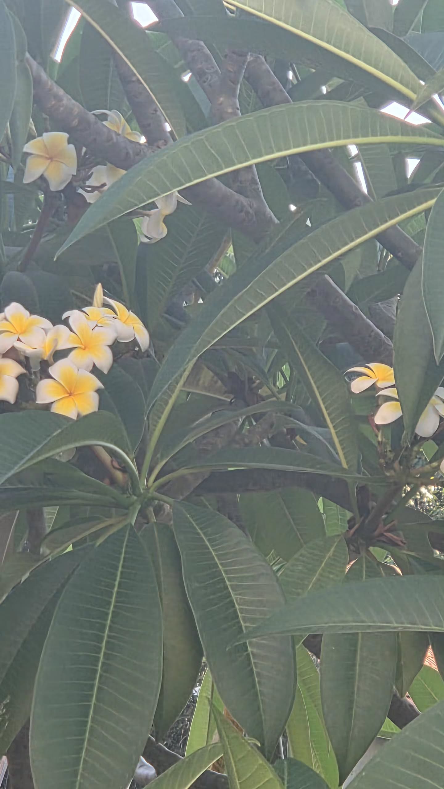 avital_1010.2003 instagram image archive image