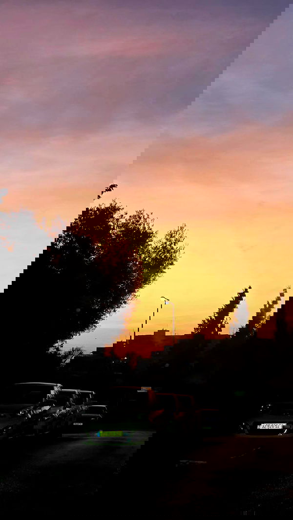 avital_1010.2003 image ~ Altpins