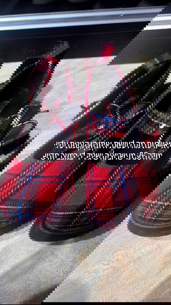 avital_1010.2003 image ~ Altpins