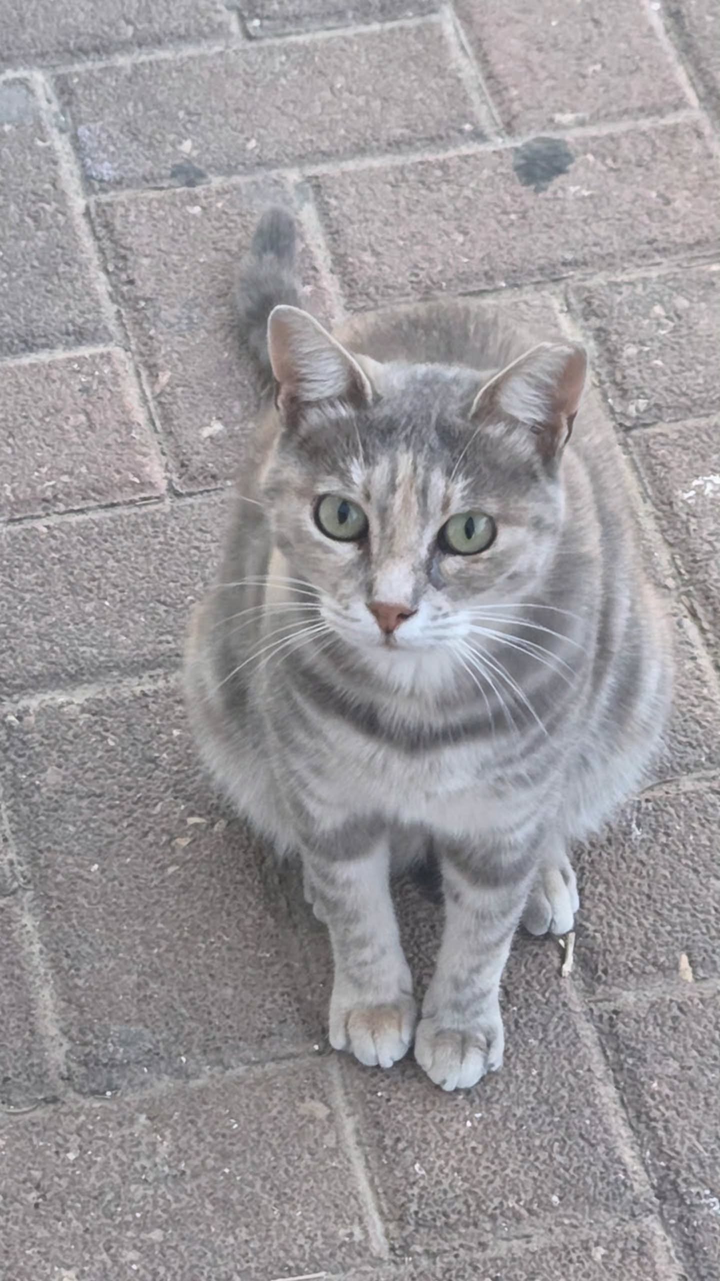 avital_1010.2003 instagram image archive image