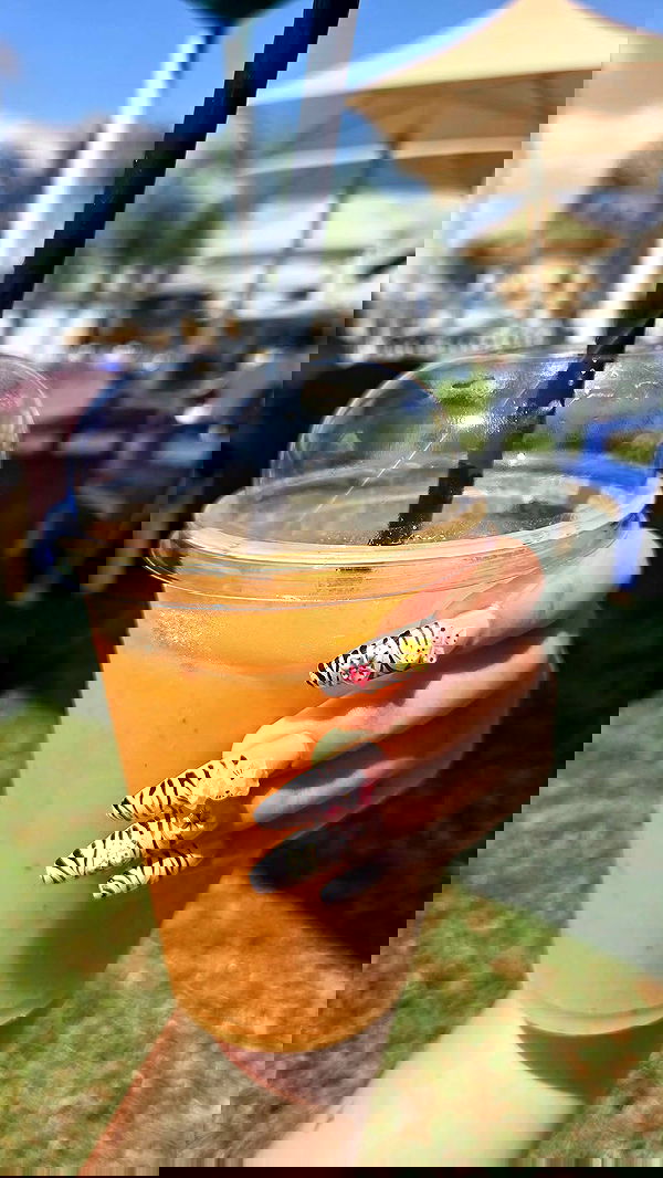 avital_1010.2003 image ~ Altpins