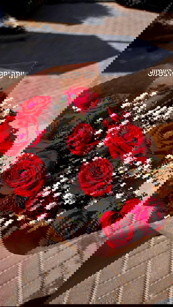 avital_1010.2003 image ~ Altpins