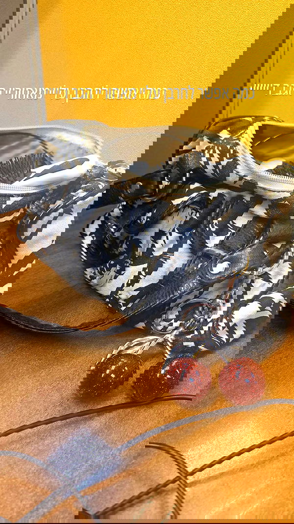 avital_1010.2003 image ~ Altpins