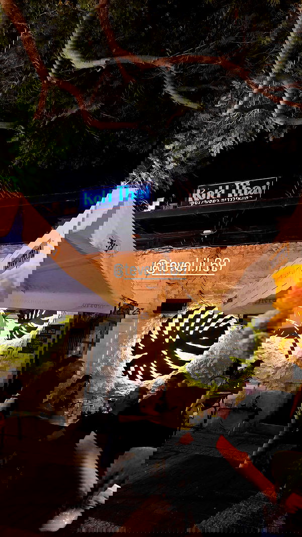 avital_1010.2003 image ~ Altpins