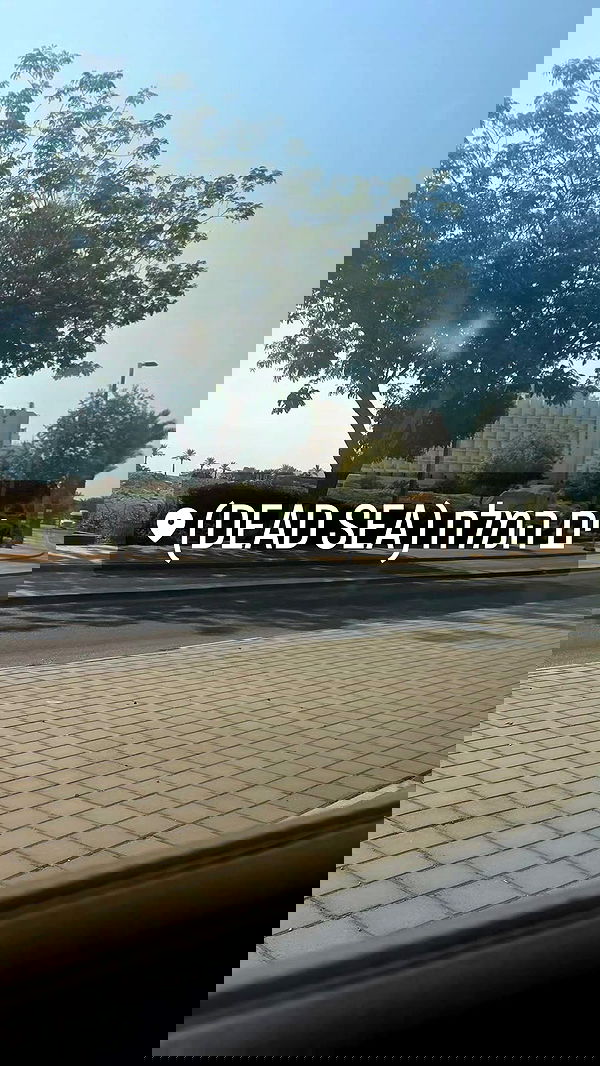 avital_1010.2003 image ~ Altpins