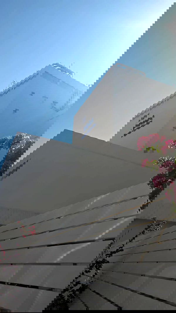 avital_1010.2003 image ~ Altpins