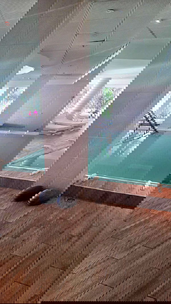 avital_1010.2003 image ~ Altpins