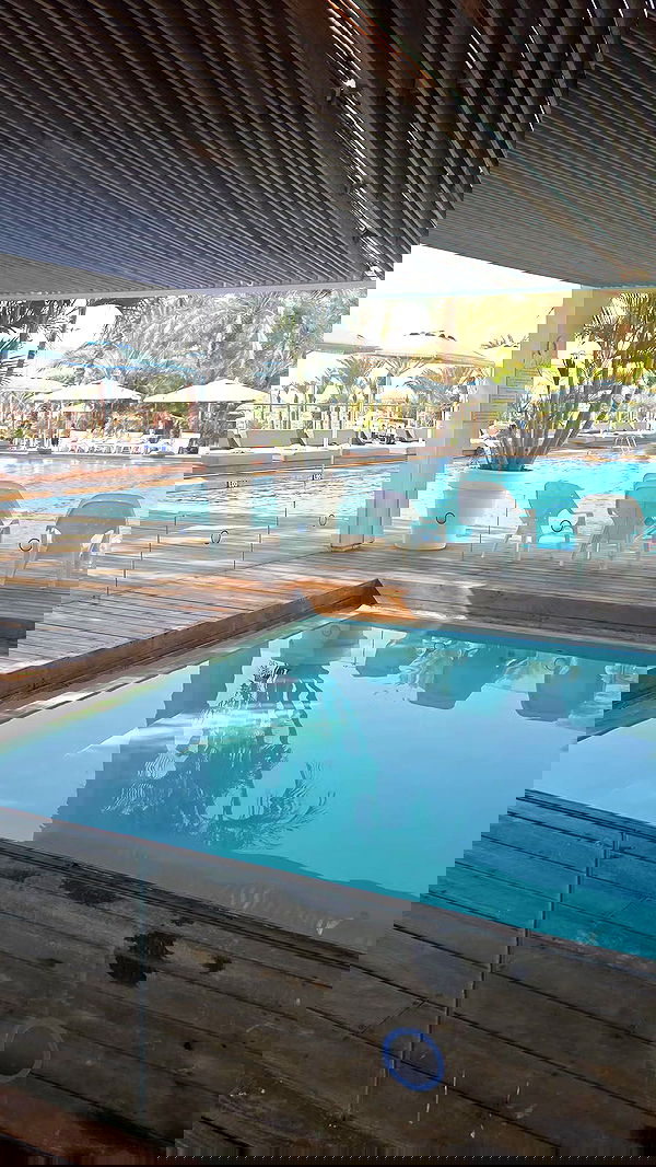 avital_1010.2003 image ~ Altpins