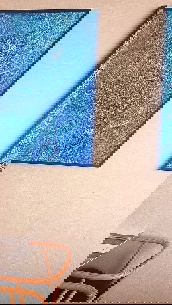 avital_1010.2003 image ~ Altpins