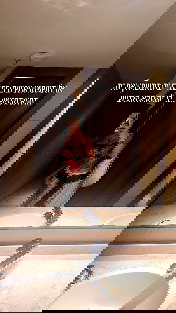 avital_1010.2003 image ~ Altpins