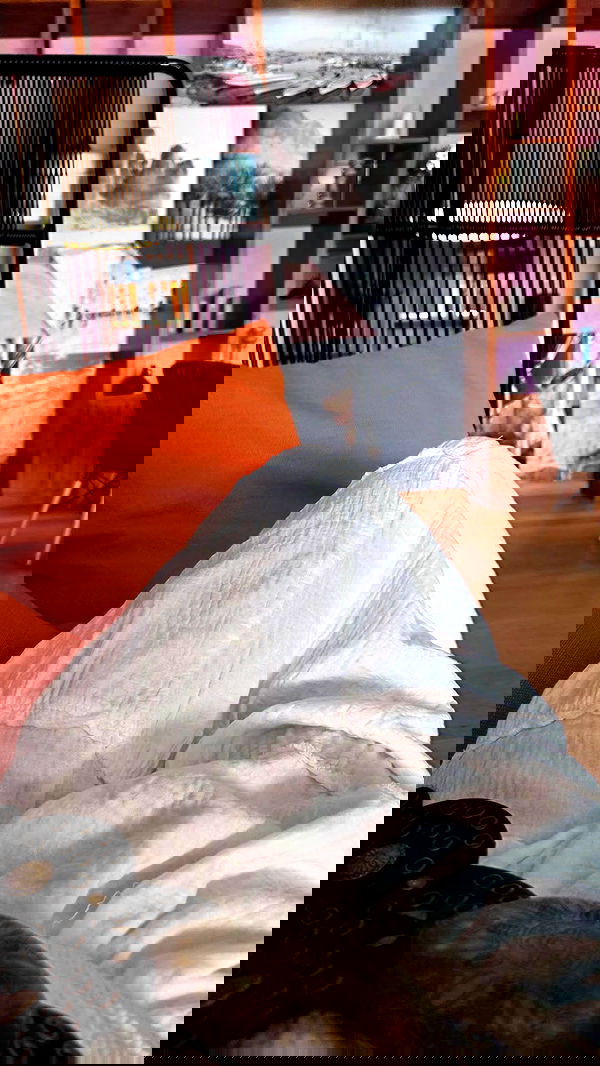 avital_1010.2003 image ~ Altpins