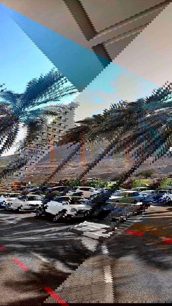 avital_1010.2003 image ~ Altpins