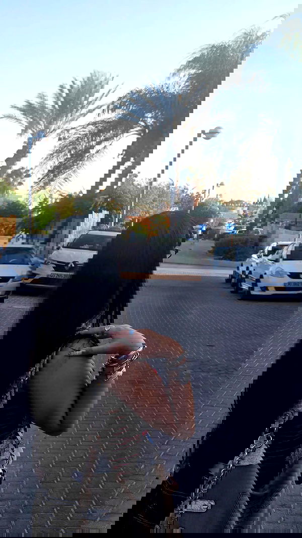 avital_1010.2003 image ~ Altpins