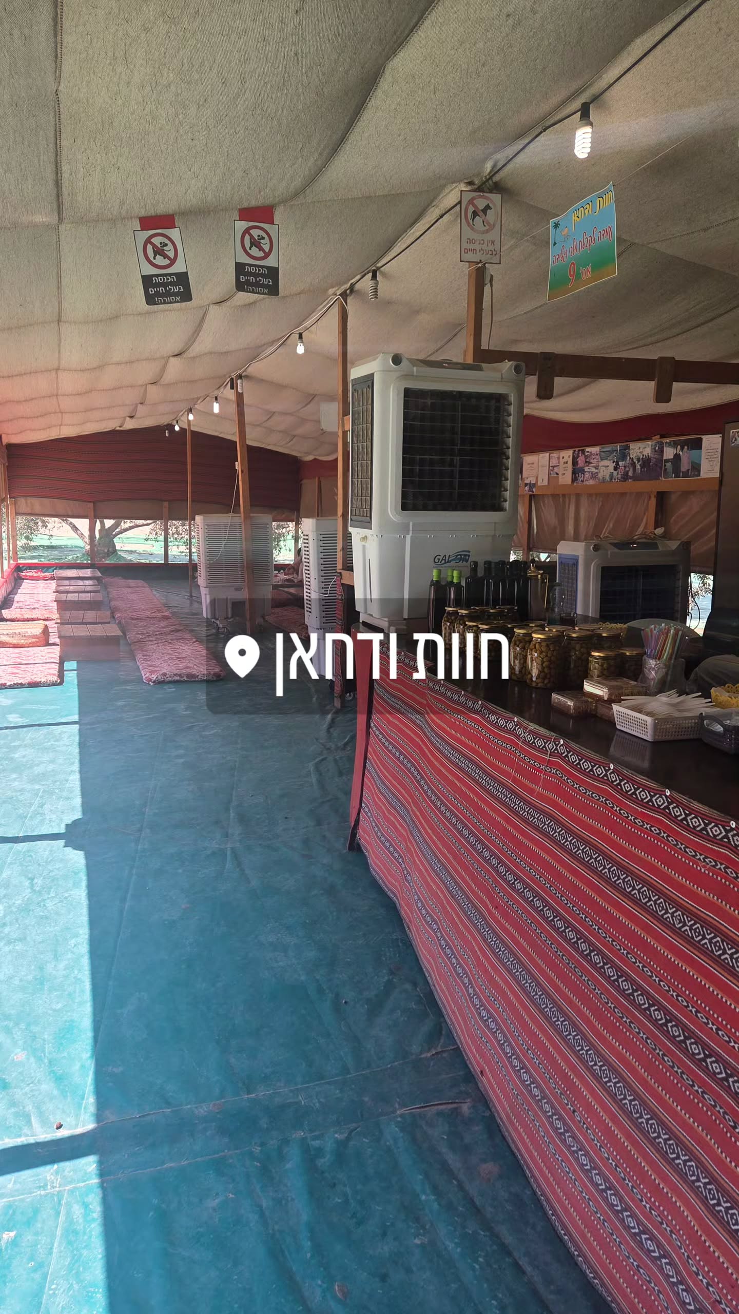 avital_1010.2003 instagram image archive image